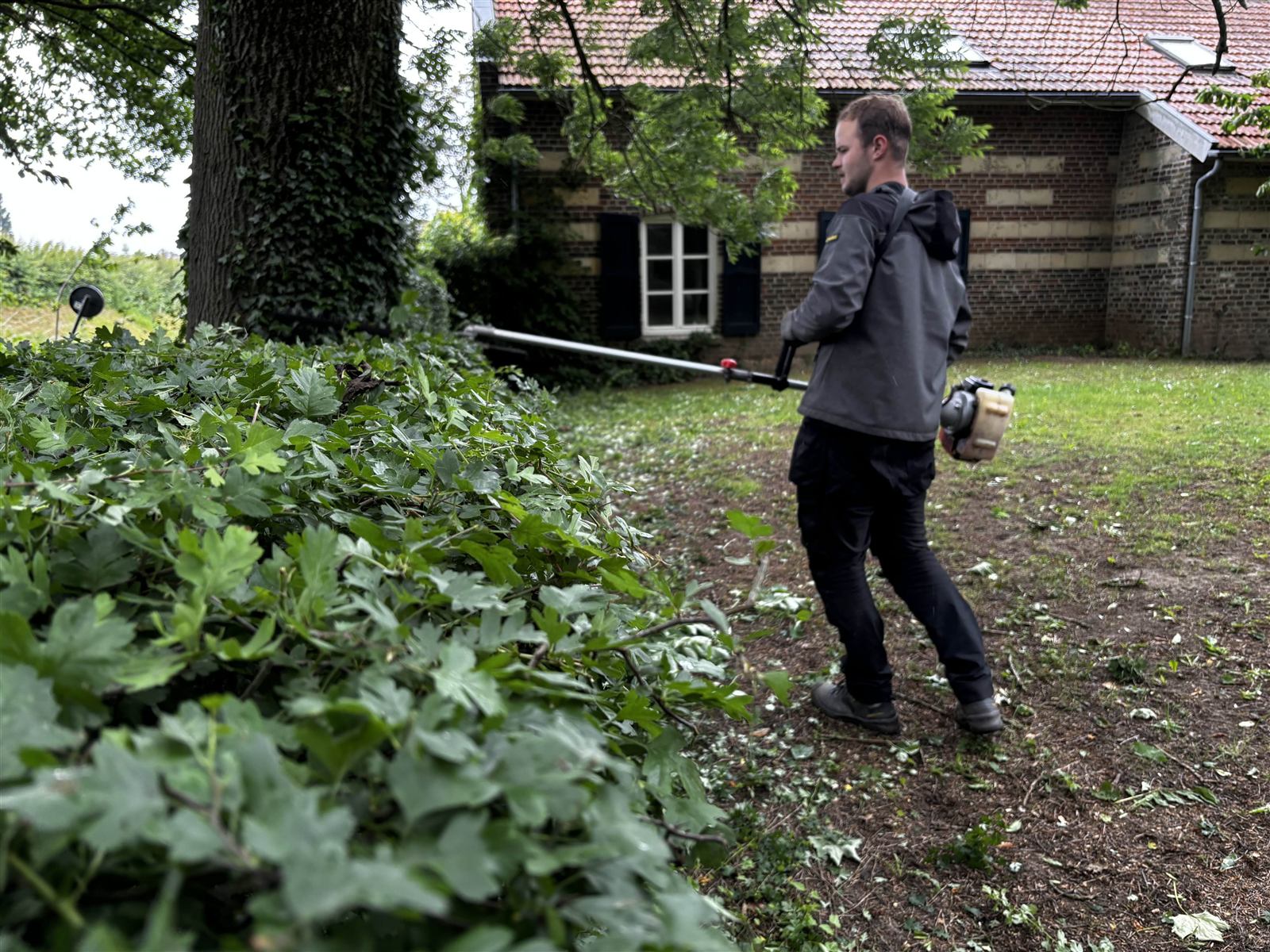 Hovenier met takkenschaar bij boerderij
